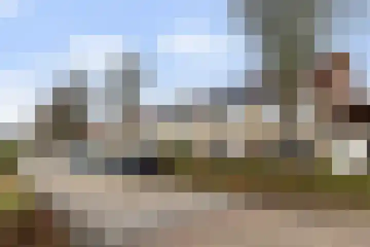 Barbiershoeve 103 Apeldoorn thumbnail 31
