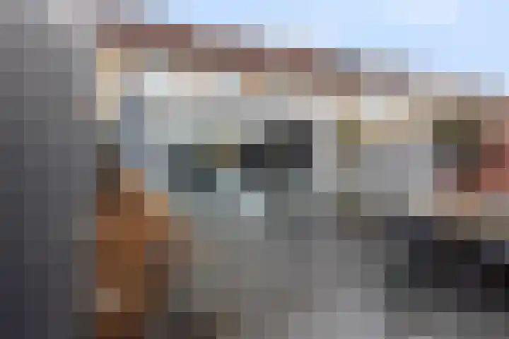 Barbiershoeve 103 Apeldoorn thumbnail 7