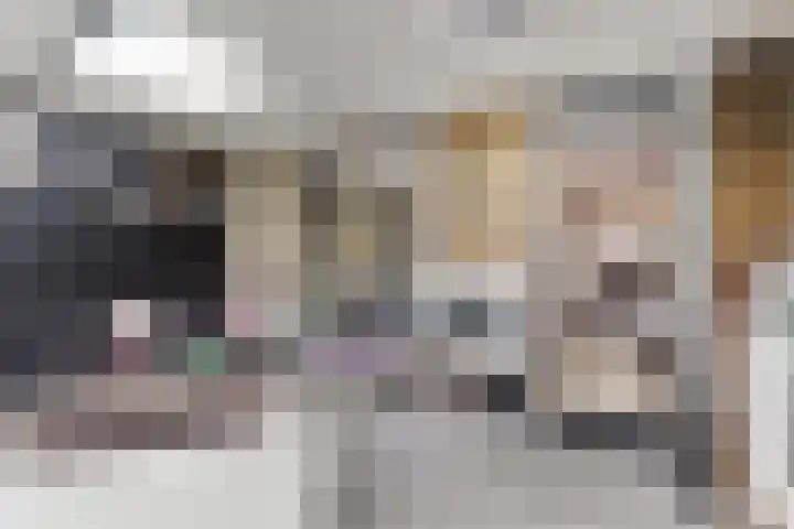 Barbiershoeve 103 Apeldoorn thumbnail 8