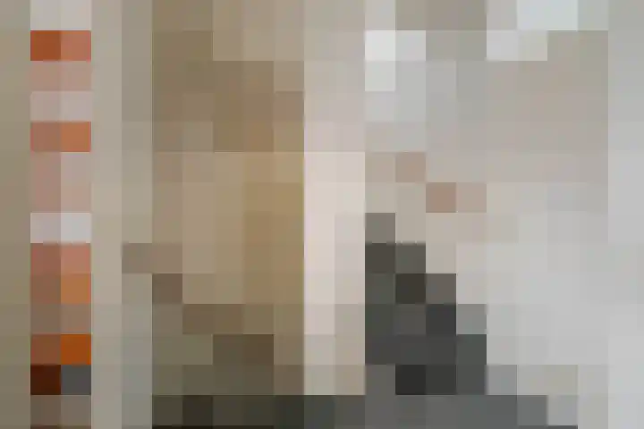 Barbiershoeve 22 Apeldoorn thumbnail 12