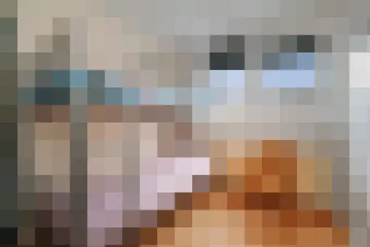 Barbiershoeve 22 Apeldoorn thumbnail 14