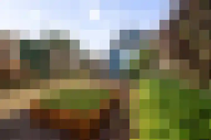 Barbiershoeve 22 Apeldoorn thumbnail 22
