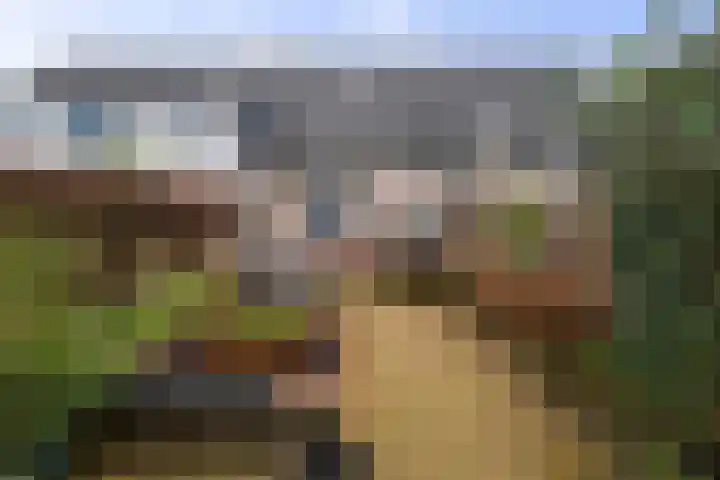 Barbiershoeve 22 Apeldoorn thumbnail 24