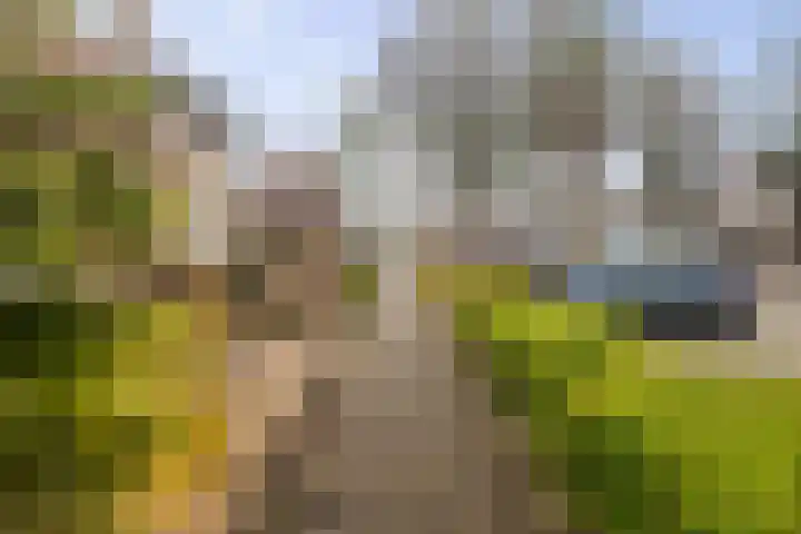 Barbiershoeve 22 Apeldoorn thumbnail 25