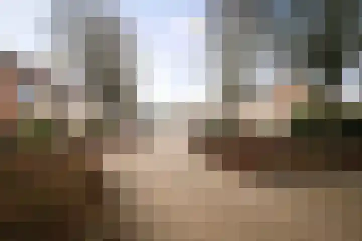 Barbiershoeve 22 Apeldoorn thumbnail 26
