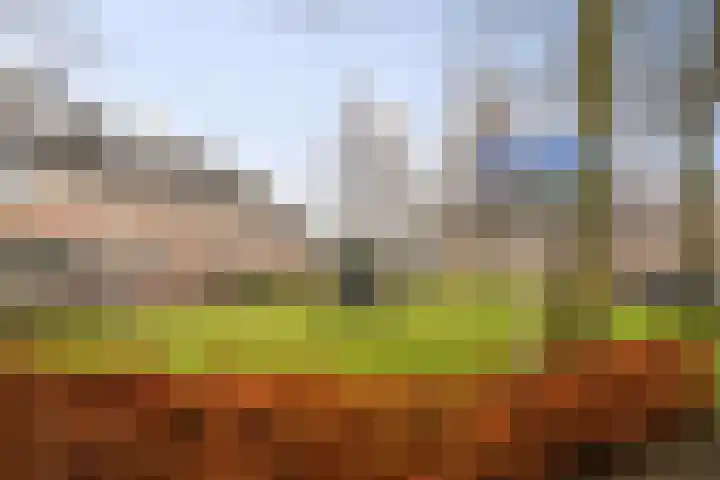 Barbiershoeve 22 Apeldoorn thumbnail 27