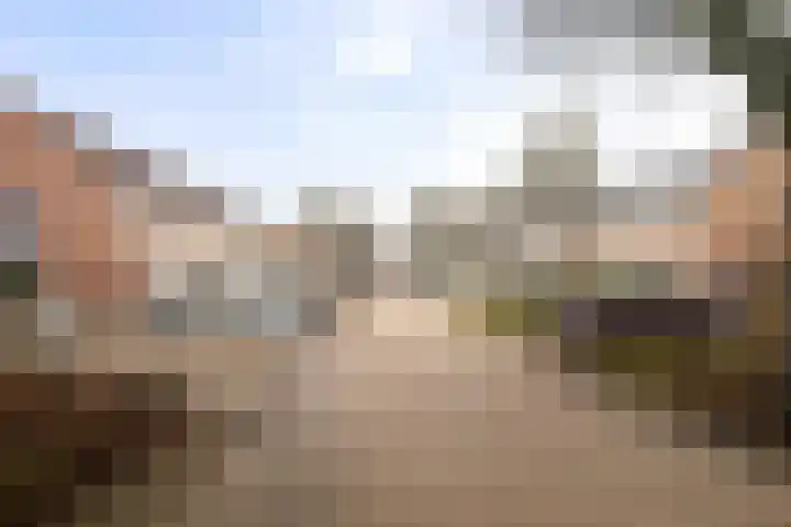 Barbiershoeve 22 Apeldoorn thumbnail 28