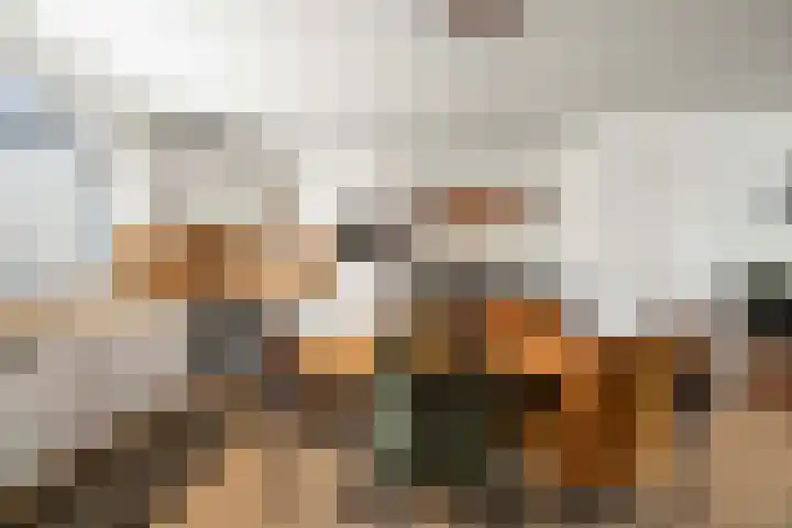 Barbiershoeve 22 Apeldoorn thumbnail 8