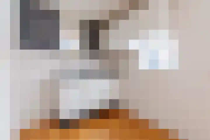 Barbiershoeve 235 Apeldoorn thumbnail 8