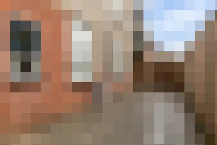 Barbiershoeve 241 Apeldoorn thumbnail 17