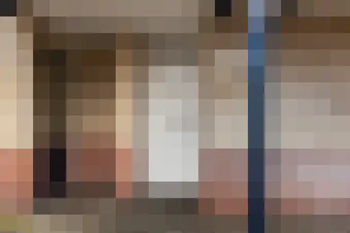 Barbiershoeve 241 Apeldoorn thumbnail 19