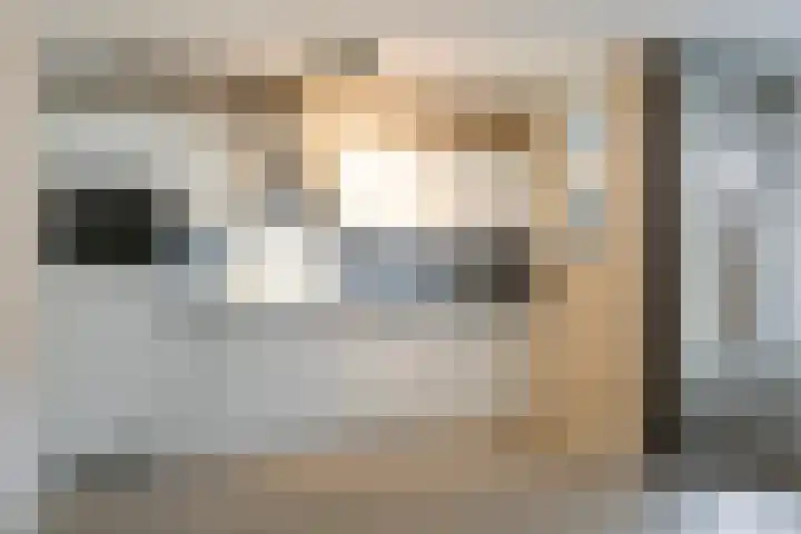Barbiershoeve 241 Apeldoorn thumbnail 8