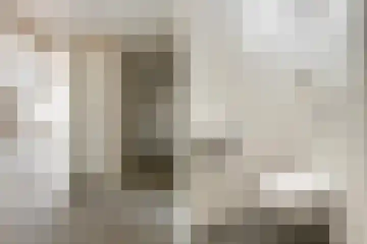 Barbiershoeve 241 Apeldoorn thumbnail 9