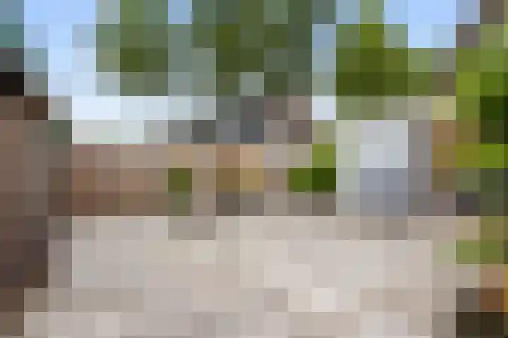 Barbiershoeve 26 Apeldoorn thumbnail 14