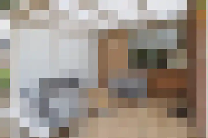 Barbiershoeve 26 Apeldoorn thumbnail 17