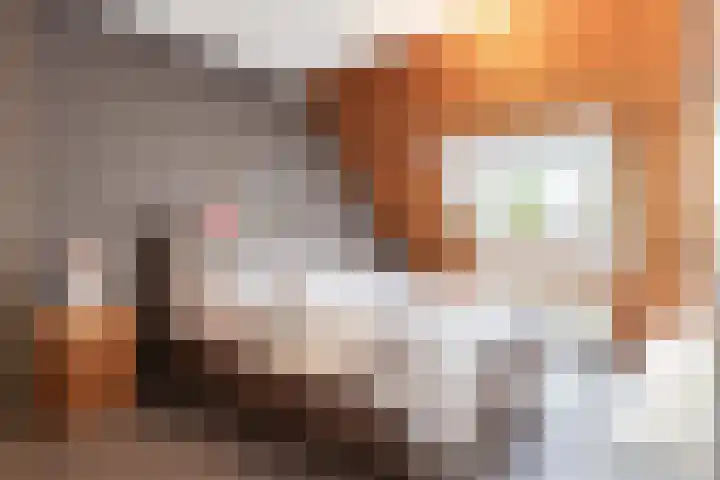 Barbiershoeve 26 Apeldoorn thumbnail 23