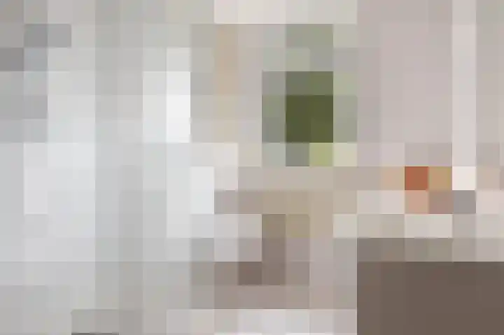 Barbiershoeve 26 Apeldoorn thumbnail 25