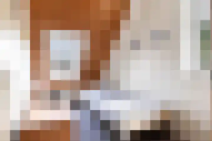 Barbiershoeve 26 Apeldoorn thumbnail 27