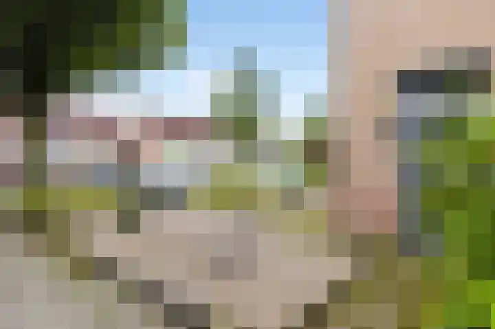 Barbiershoeve 26 Apeldoorn thumbnail 33