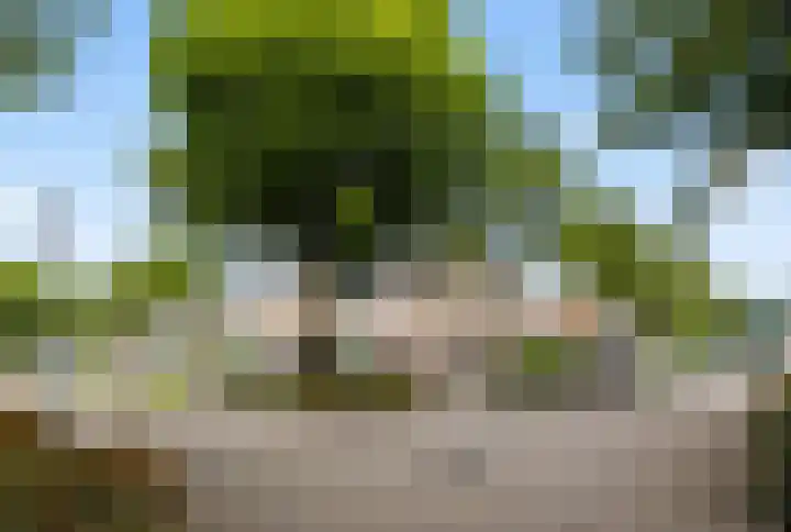 Barbiershoeve 26 Apeldoorn thumbnail 34