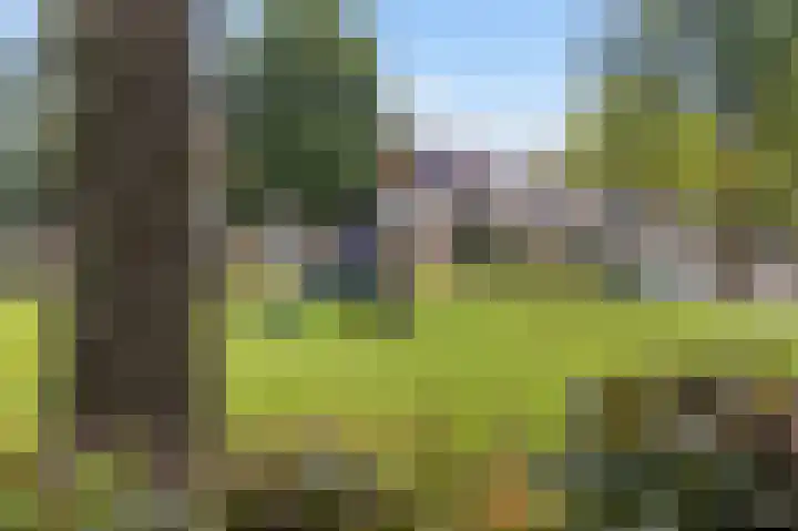 Barbiershoeve 26 Apeldoorn thumbnail 35