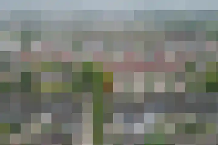 Barbiershoeve 26 Apeldoorn thumbnail 37