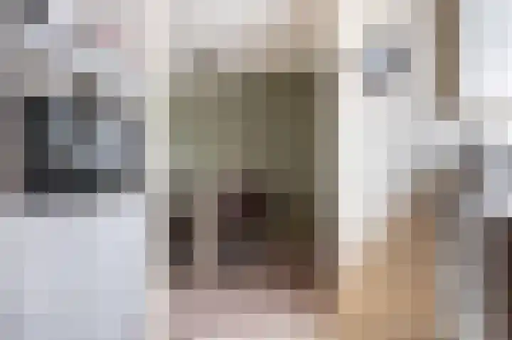 Barbiershoeve 26 Apeldoorn thumbnail 8