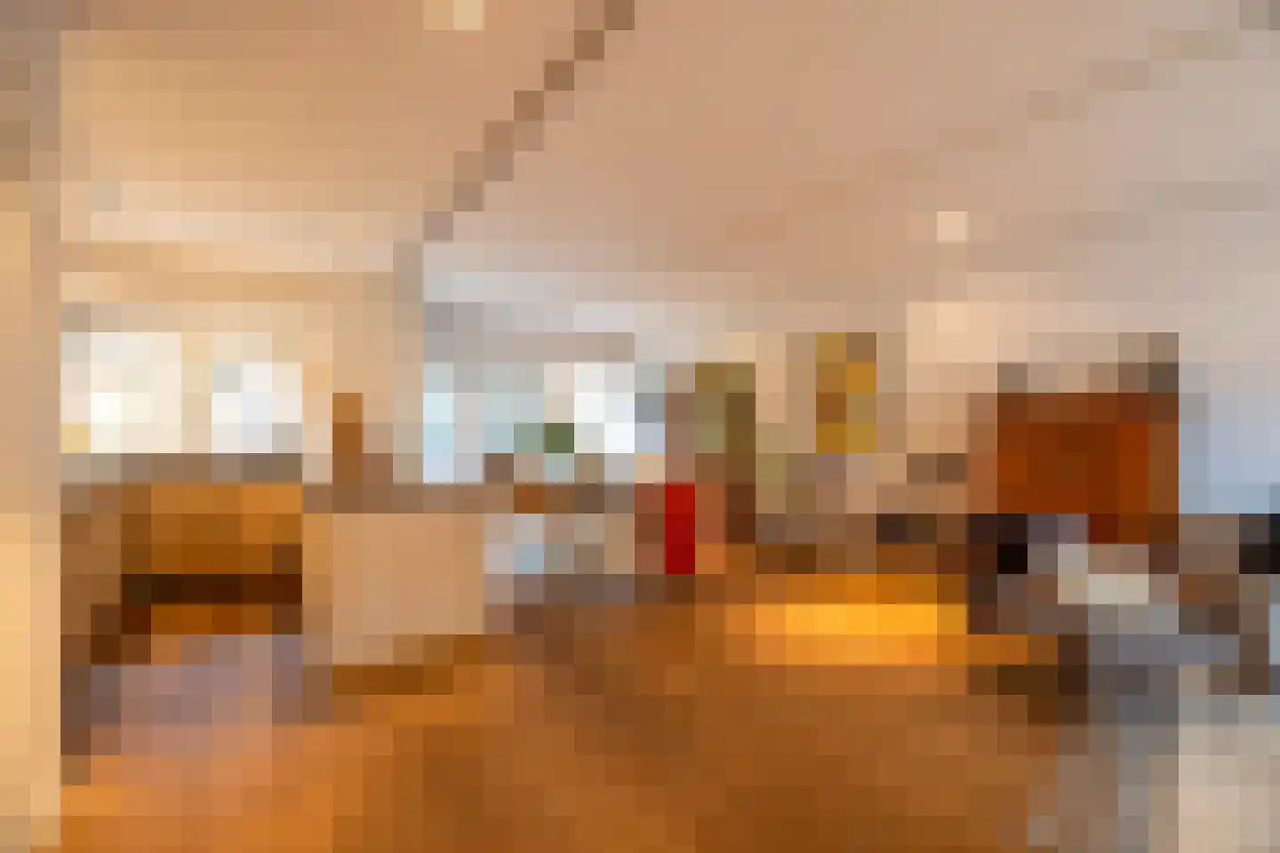 Barbiersweg 17 Laren thumbnail 10