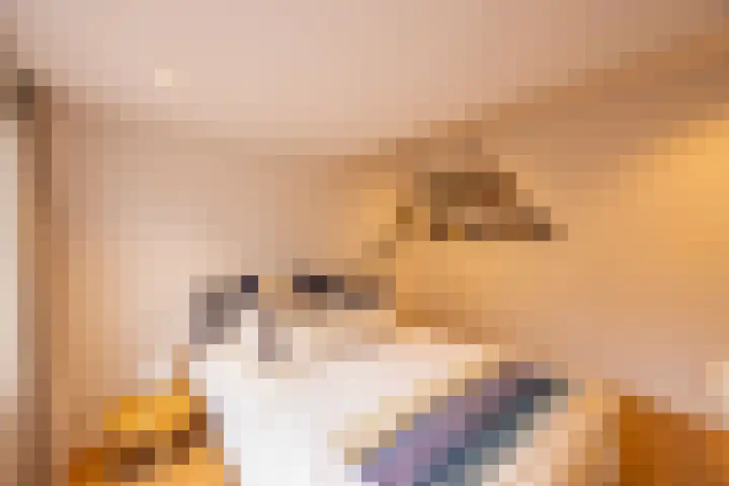 Barbiersweg 17 Laren thumbnail 25