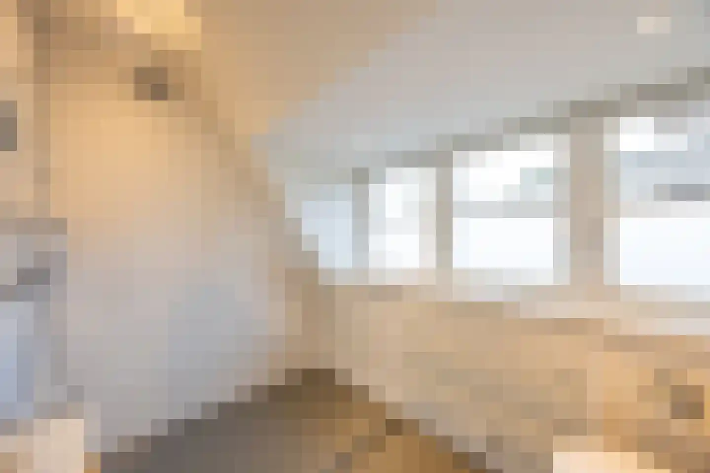 Barbiersweg 17 Laren thumbnail 28