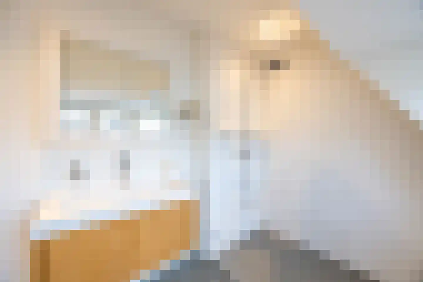 Barbiersweg 17 Laren thumbnail 29