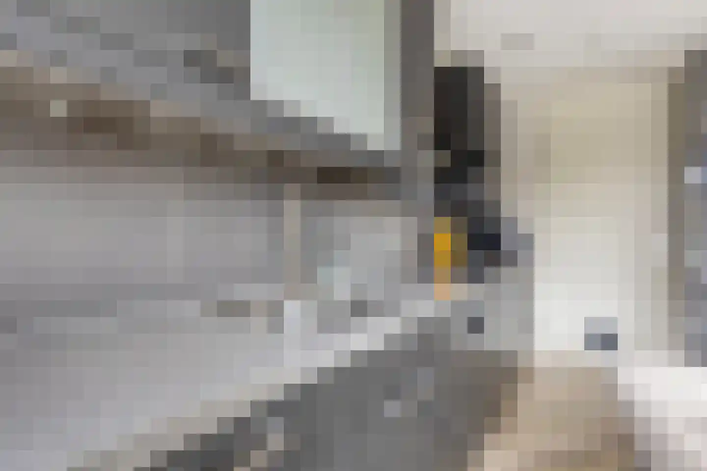 Barbizonplaats 2 Capelle aan den IJssel thumbnail 12