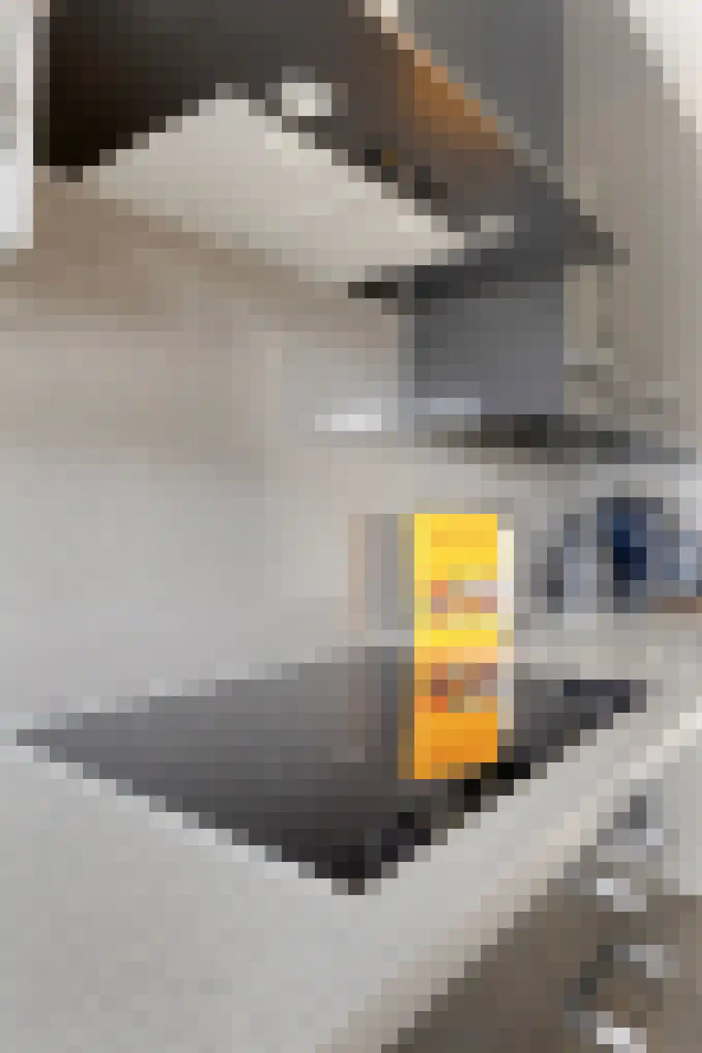 Barbizonplaats 2 Capelle aan den IJssel thumbnail 18