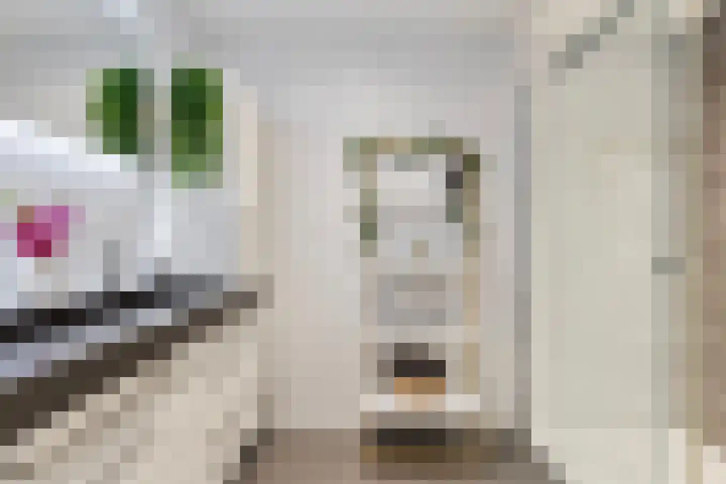 Barbizonplaats 2 Capelle aan den IJssel thumbnail 23