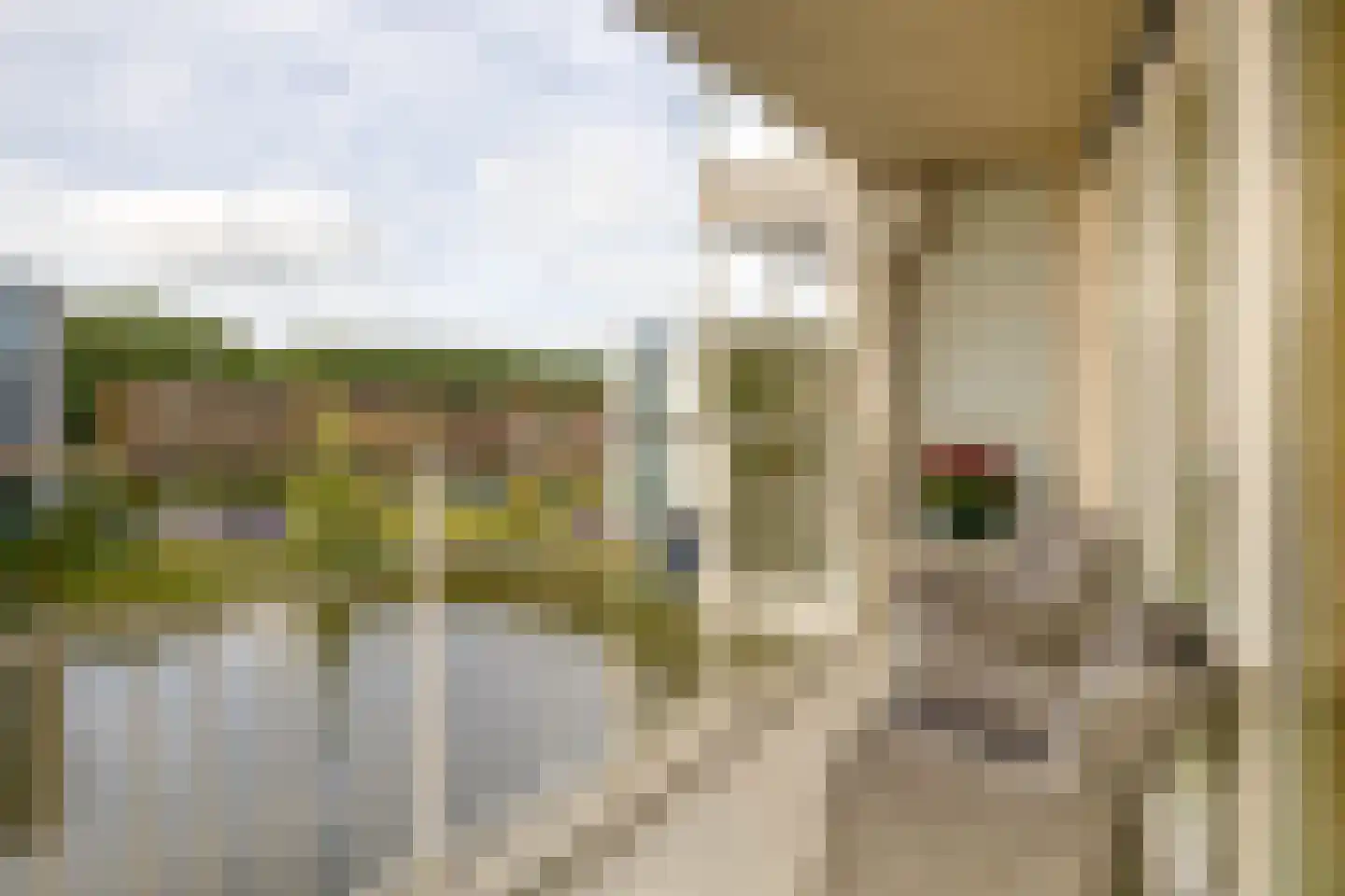 Barbizonplaats 32 Capelle aan den IJssel thumbnail 15