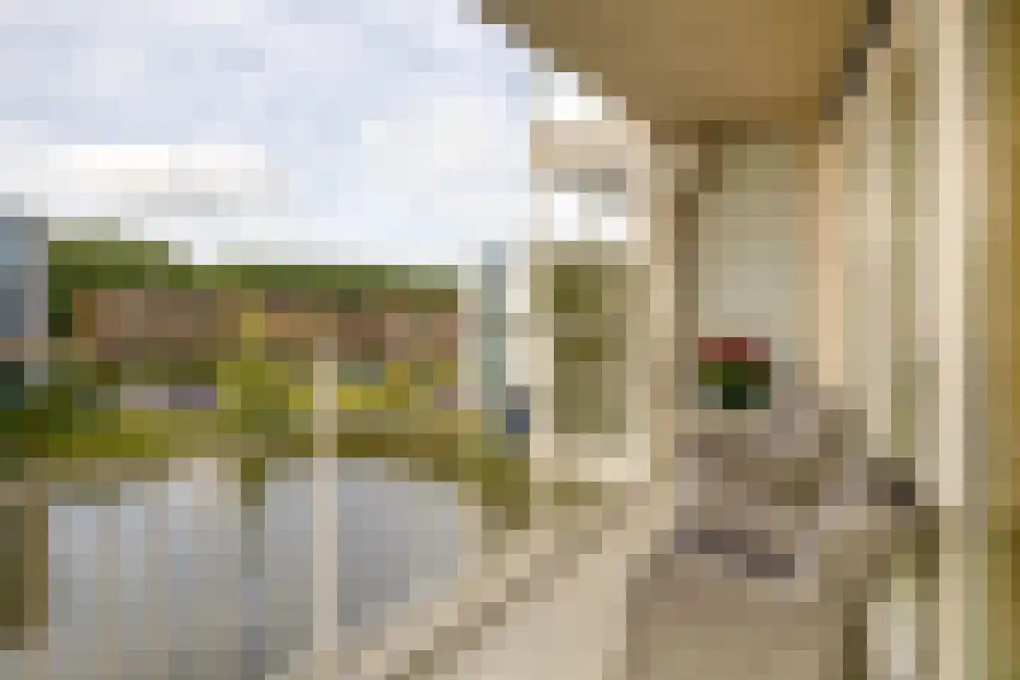 Barbizonplaats 32 Capelle aan den IJssel thumbnail 5