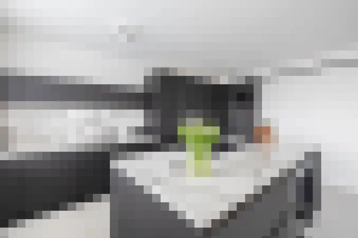 Barbizonplaats 75 Capelle aan den IJssel thumbnail 22