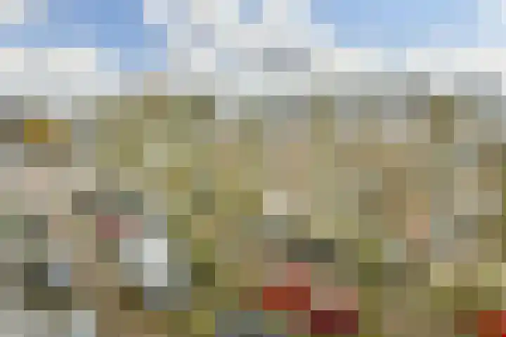 Barbusselaan 165 Amsterdam thumbnail 11