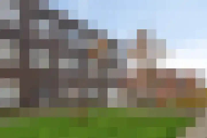 Barcelonahaven 24 Purmerend thumbnail 25
