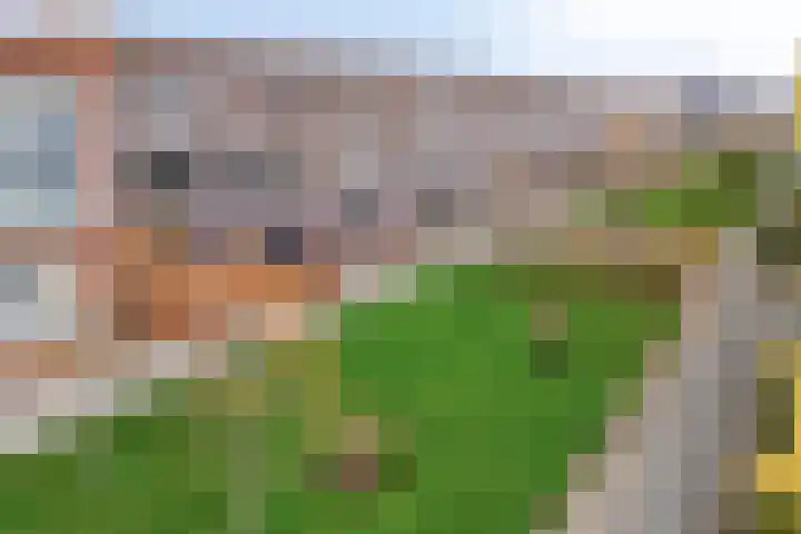 Barcelonahaven 24 Purmerend thumbnail 33