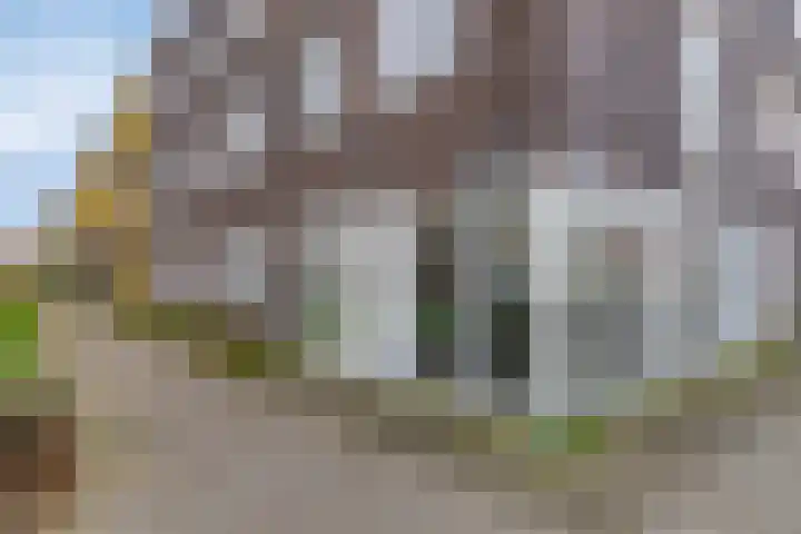 Barcelonahaven 24 Purmerend thumbnail 5