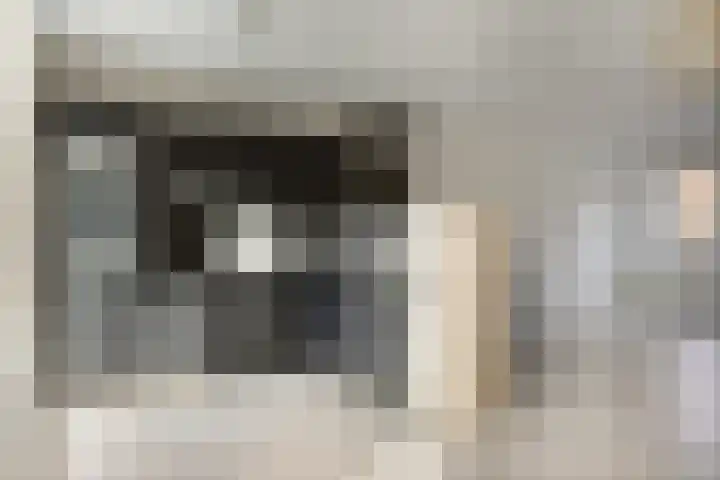 Barcelonahaven 26 Purmerend thumbnail 16