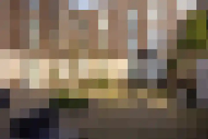 Barcelonahaven 26 Purmerend thumbnail 27