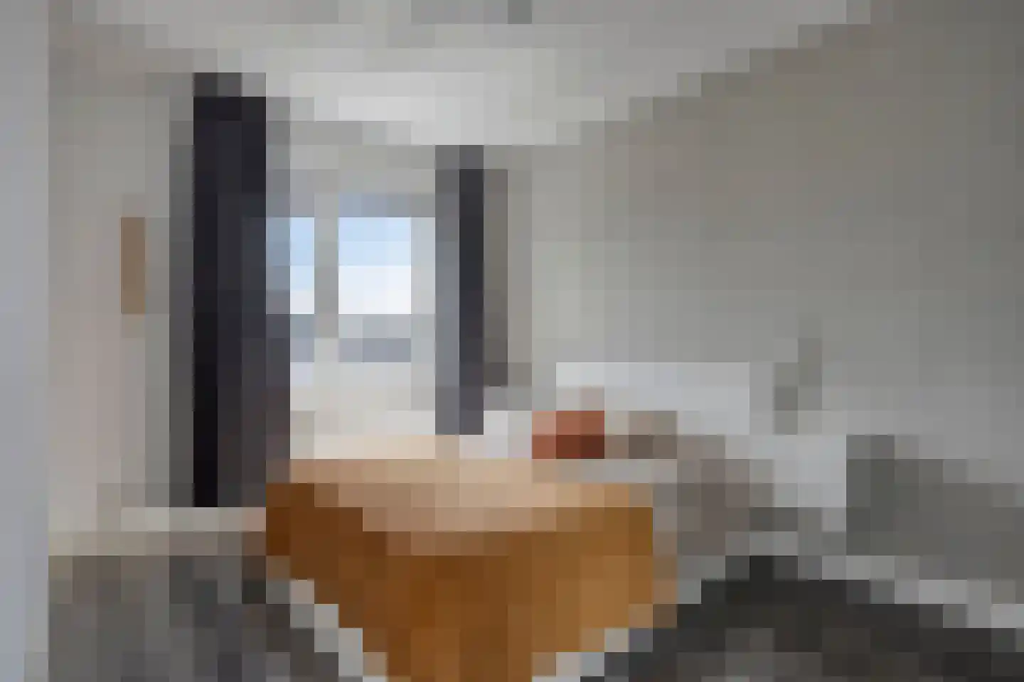 Barcelonahaven 29 Purmerend thumbnail 30