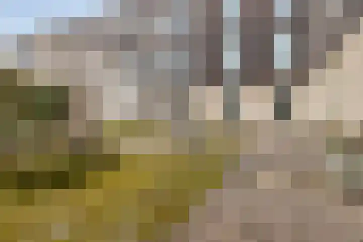 Barcelonahaven 42 Purmerend thumbnail 27