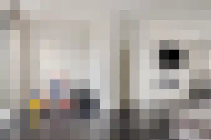 Barcelonahaven 46 Purmerend thumbnail 16