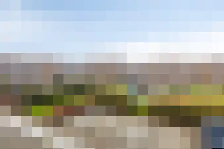 Barcelonahaven 46 Purmerend thumbnail 33