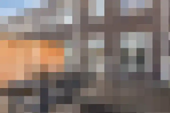 Barcelonahaven 46 Purmerend thumbnail 6