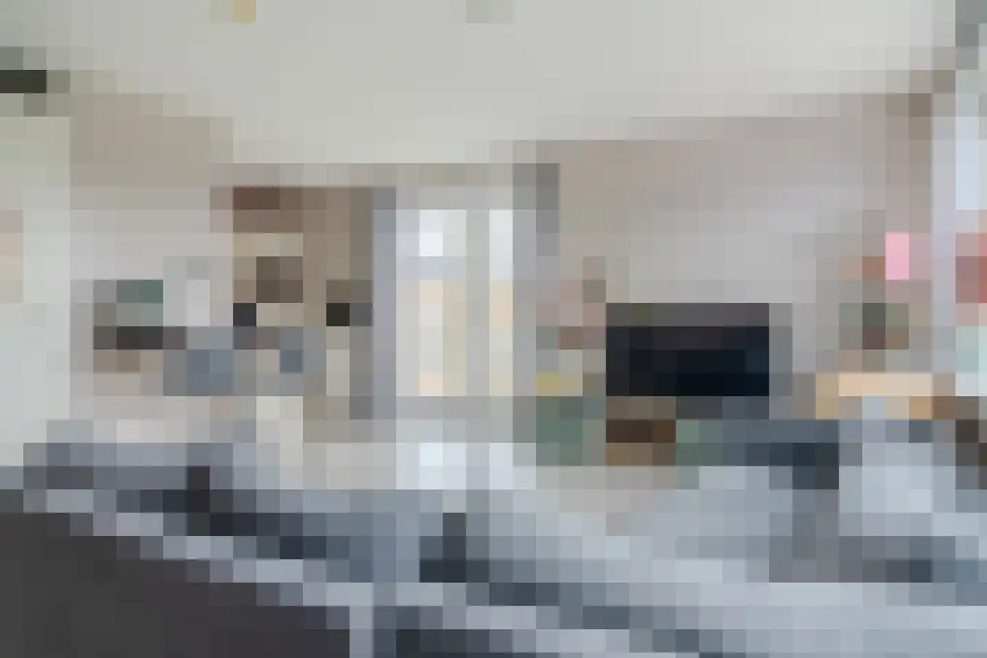 Barcelonahaven 55 Purmerend thumbnail 8