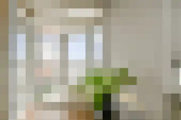 Barcelonaplein 145 Amsterdam thumbnail 7